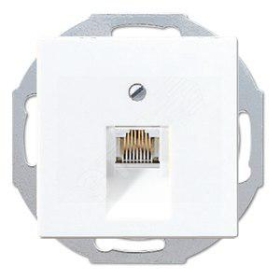 Розетка интернет RJ45 CAT5 - альпийский белый, ABB Basic 55 (1753-0-0096/EPUAE8UPO)