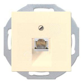 Розетка интернет, RJ45 CAT5 - бежевый, ABB Basic 55 (1753-0-0098/EPUAE8UPO )