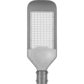 Светодиодный уличный прожектор, 100Led, 100W, 230V, 6400K, 50Hz, IP65, SP2924 - серый, Feron