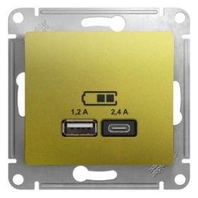 USB розетка A+С, 5В/2,4А, 2х5В/1,2 А, механизм - фисташковый, Schneider Glossa